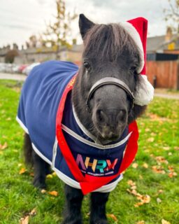 We're not the only ones that are excited for this year's Presents Galore 🎁 Remember to add the dates to your diary now (27th - 29th November) and look out for our Early Bird tickets which will go on sale on Saturday 1st August.
Thank you to our headline sponsor Streets Accountants 🤍