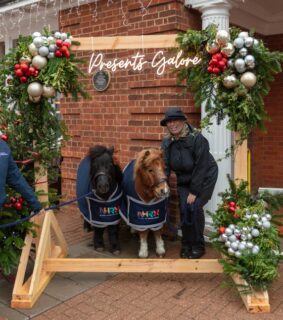 We're not the only ones that are excited for this year's Presents Galore 🎁 The National Horse Racing Museum's Minis Kizzy and Harry are too! Joining us for the morning on Saturday 28th and Sunday 29th November, be sure to come along and say hello!

Opening times:
Friday 27th November 4pm - 8pm
Saturday 28th November 10am - 5pm
Sunday 29th November 10am - 4pm

Find us (and 120+ stalls!) at the Rowley Mile Racecourse. Tickets are £8 in advance, with 100% going to Cambridge Children's Hospital , National Horse Racing Museum and Newmarket Charitable Foundation 

Purchase yours at www.presentsgalore.org

Thank you to our headline sponsor Streets Bloodstock Accountants 🤍