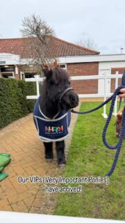 Harry and Kizzy can't wait to see all at Day Two of
Presents Galore 🎁 🎁  Open until 5pm today.